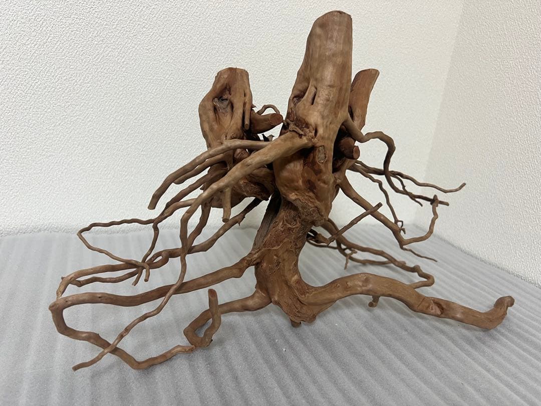 32613 ブランチウッド　流木　アクアリウム