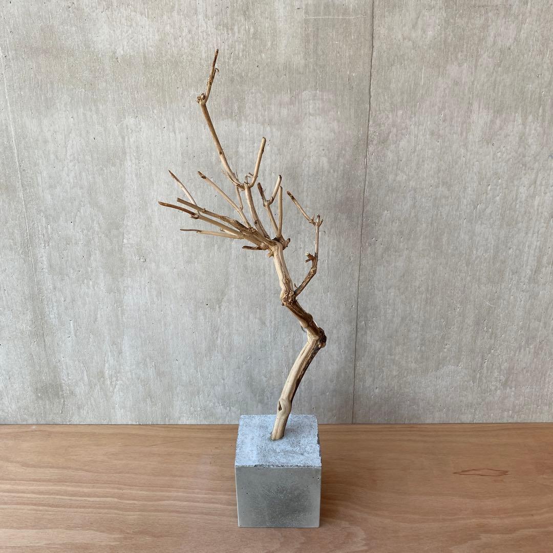 【コンクリート盆栽 流木オブジェ】ディスプレイ アート インテリア 鍵 爬虫類
