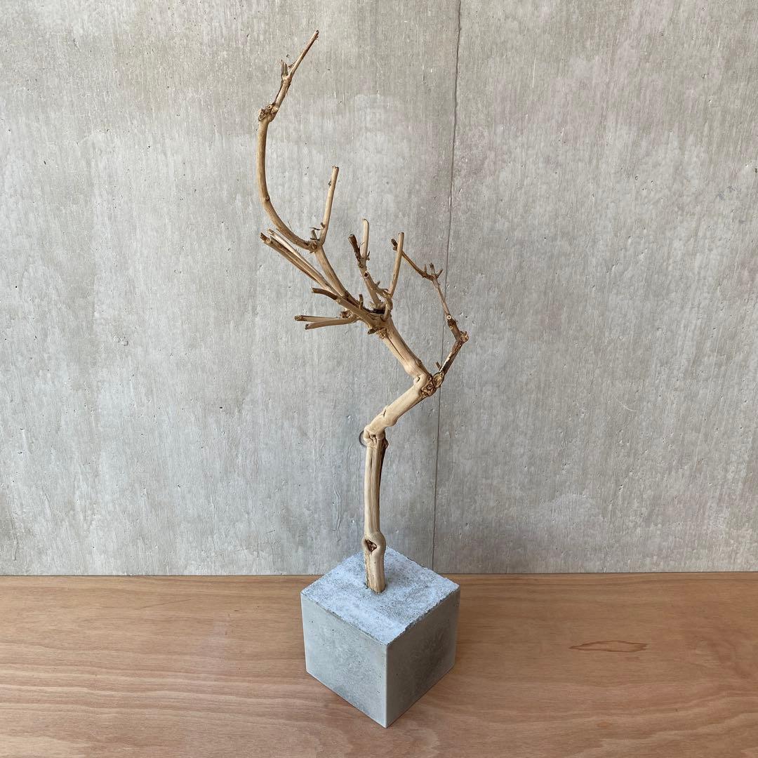 【コンクリート盆栽 流木オブジェ】ディスプレイ アート インテリア 鍵 爬虫類