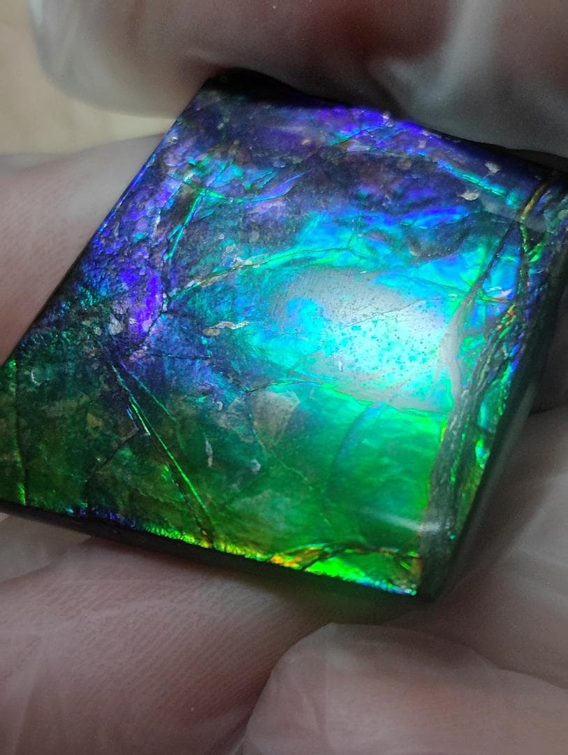 アンモライト　ルース　24-0743 37500