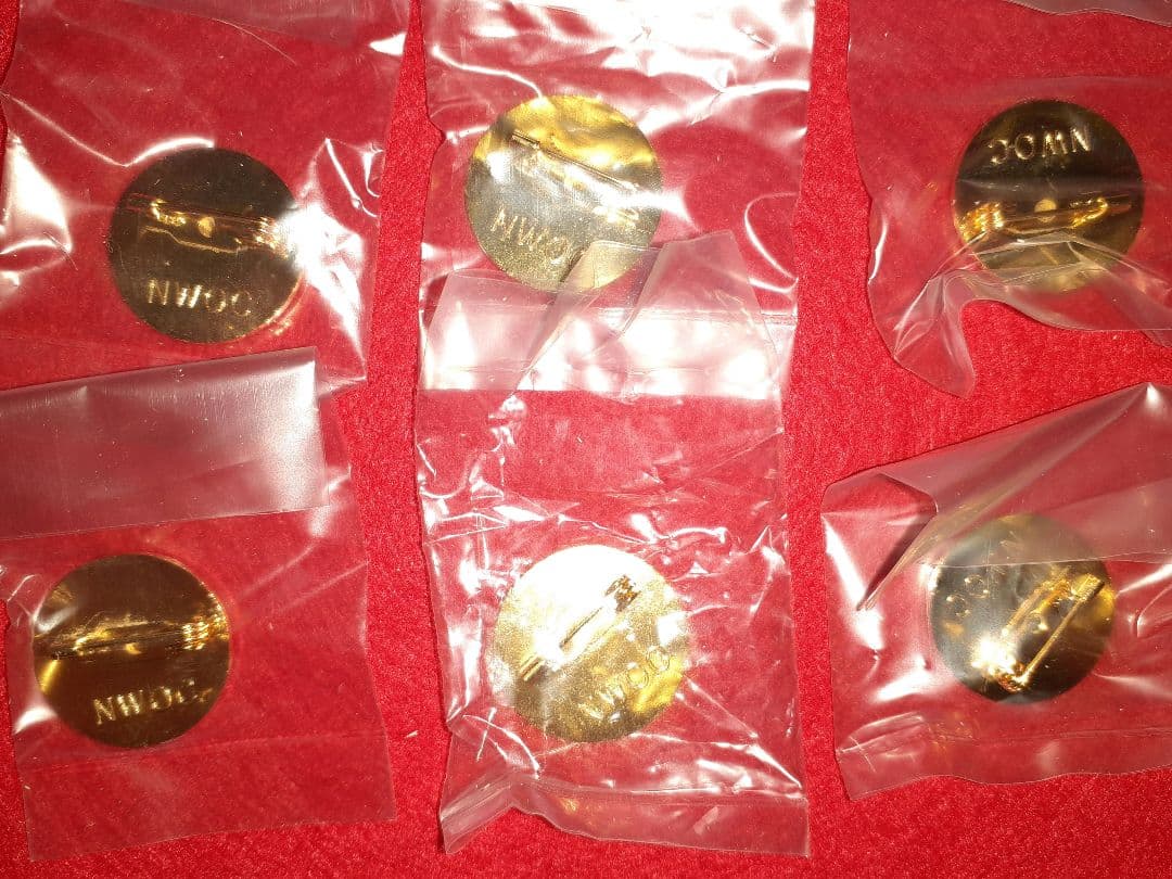 長野オリンピック　招致　ALPS　ピンバッジ　20個まとめ