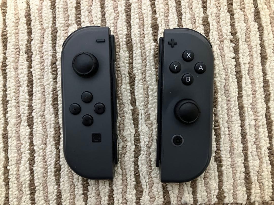 Nintendo Switch ブラック ケース付き 【動作確認済み】