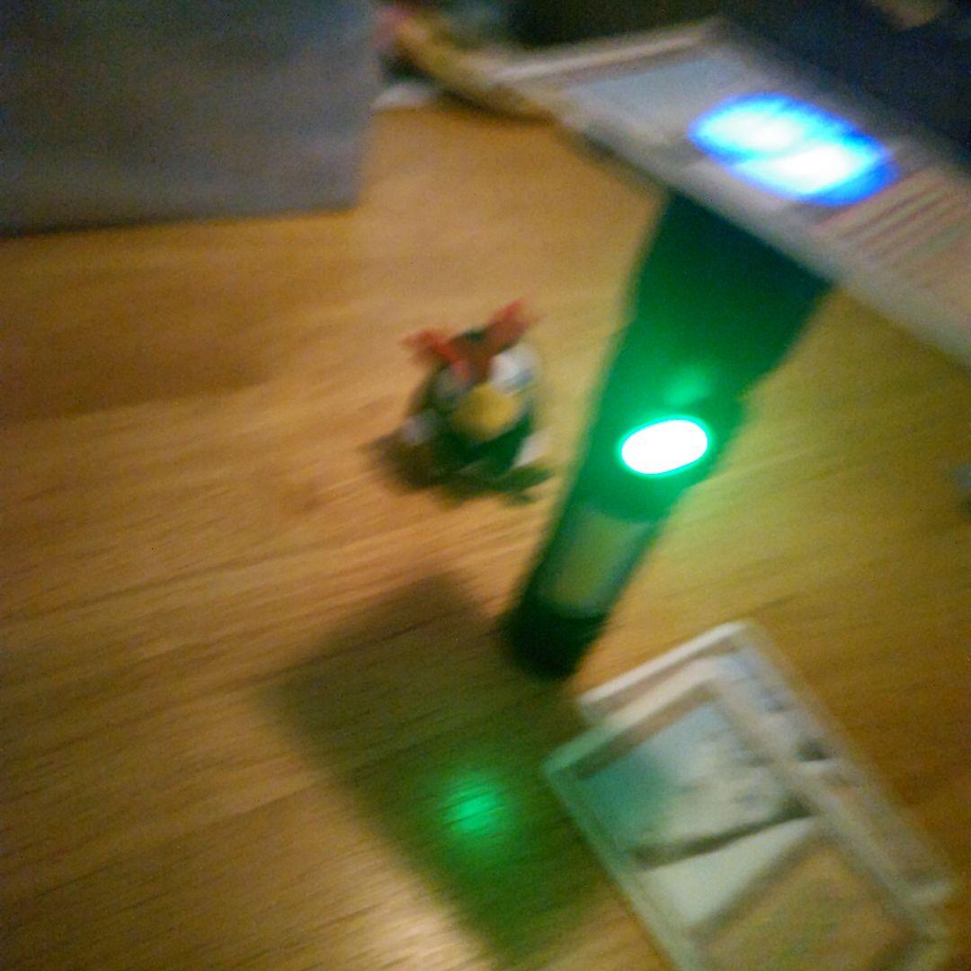 【断捨離】MTG 悲しみのtaiga 4枚