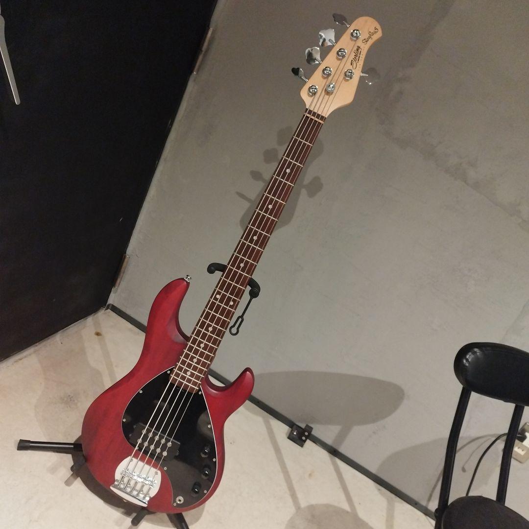 ベース Sterling by MUSIC MAN StingRay5 walnut