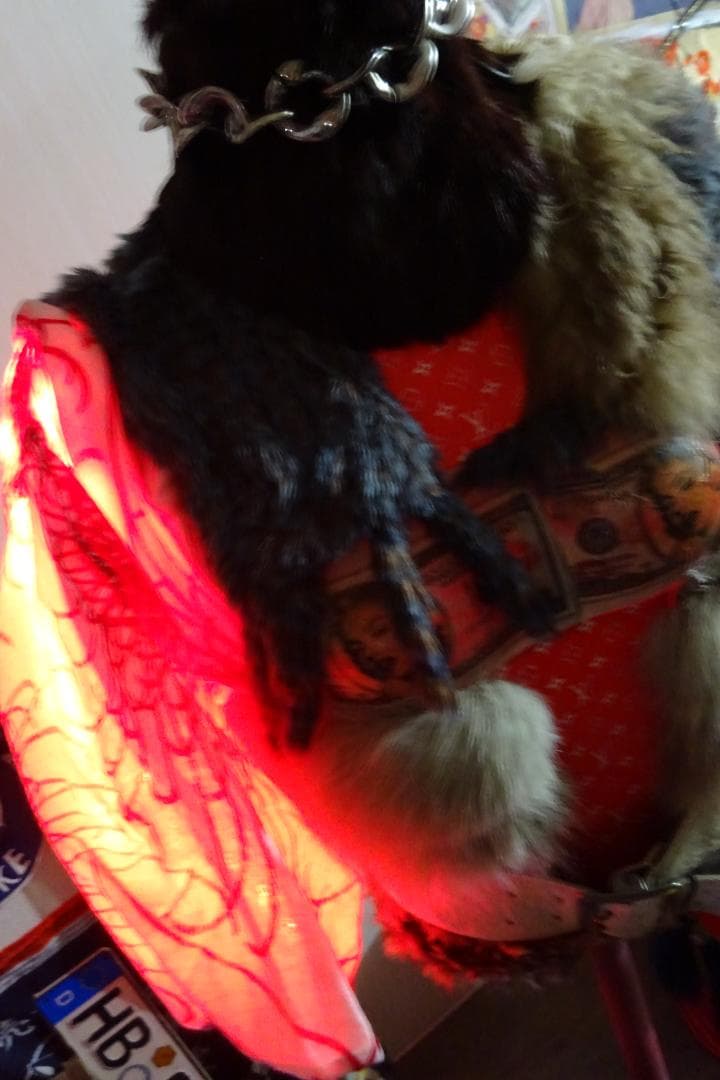 マネキン トルソー カスタム イルミ インテリア お店 サインボード的な感じ