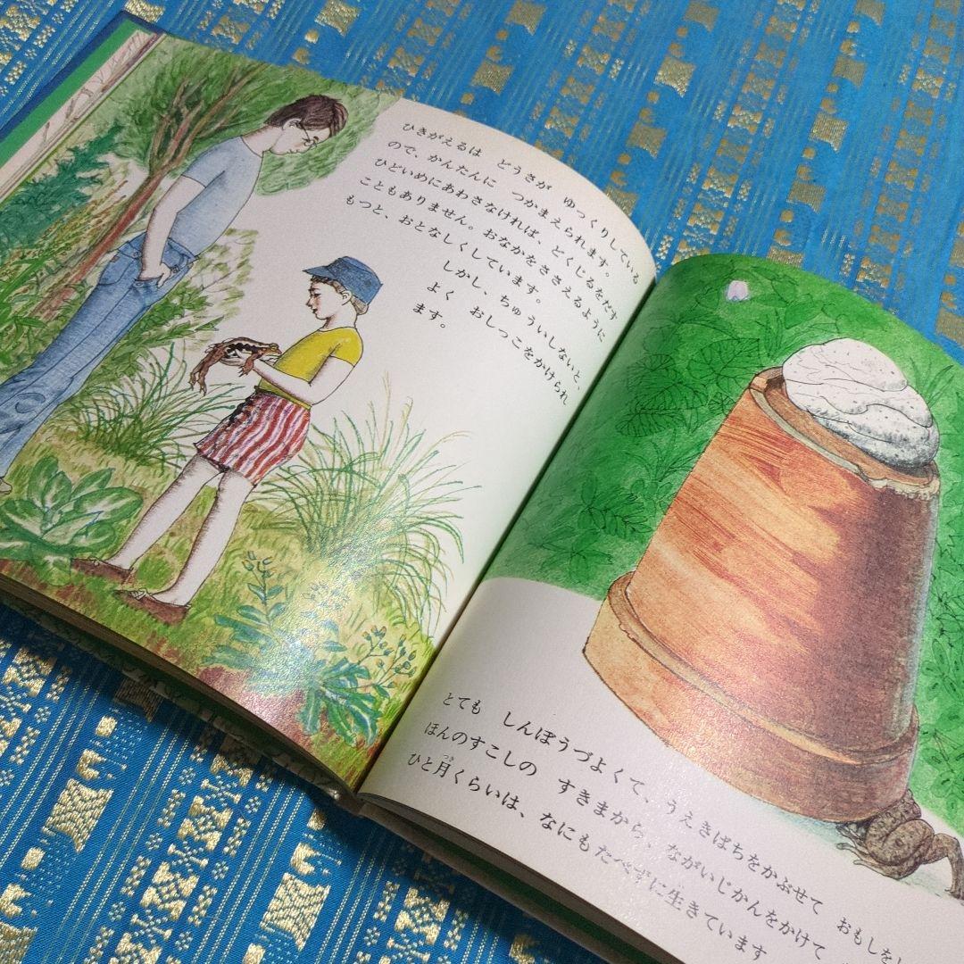 初版　絶版　ひきがえる 絵本 福音館書店 1976年