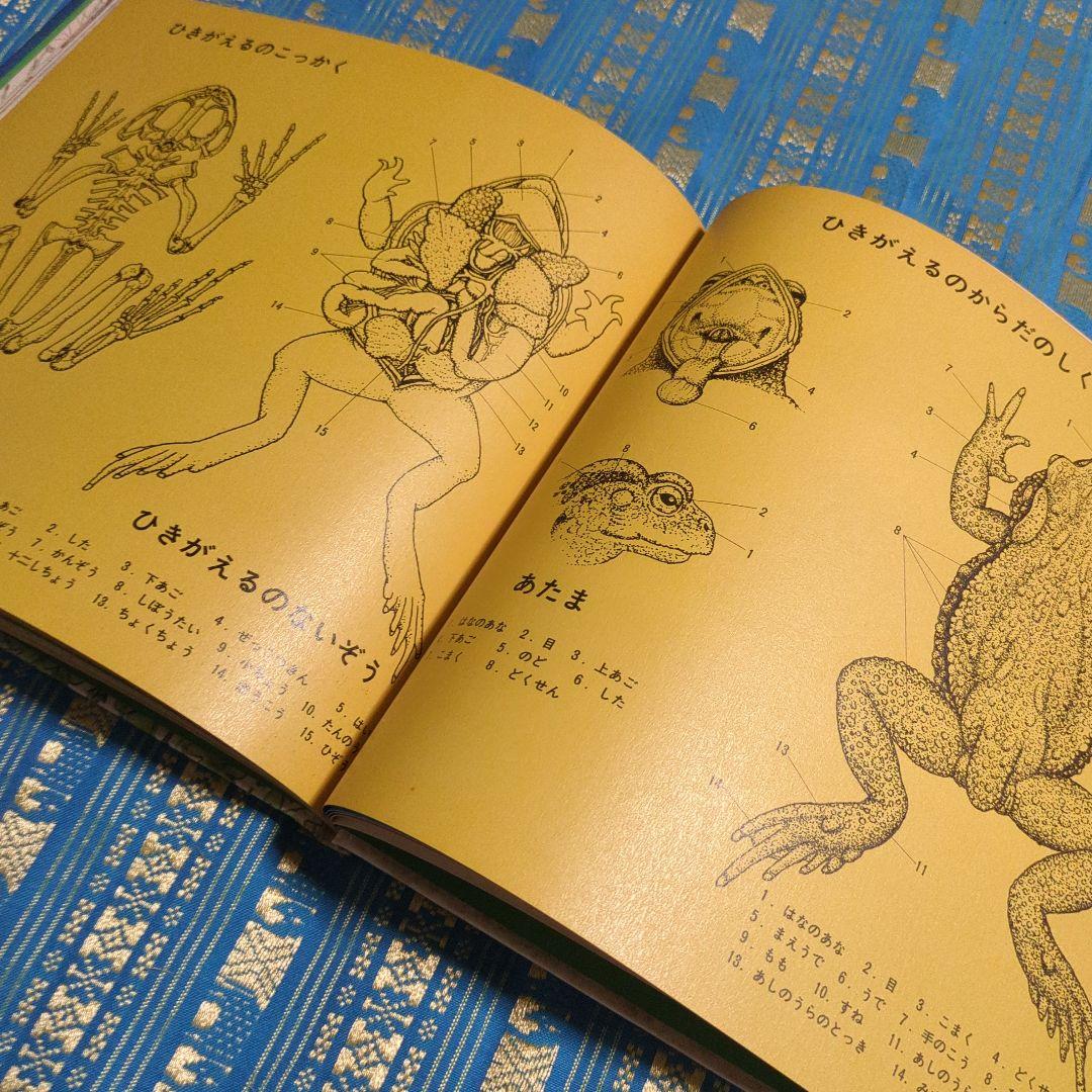 初版　絶版　ひきがえる 絵本 福音館書店 1976年