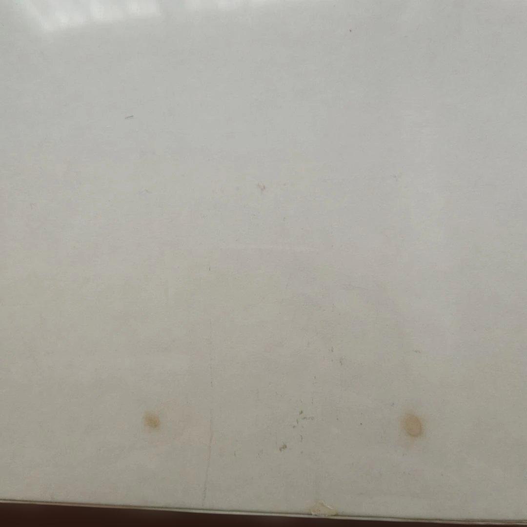 天野喜孝 ジグソーパズル 光　2000pcs　天と地とポストカード付