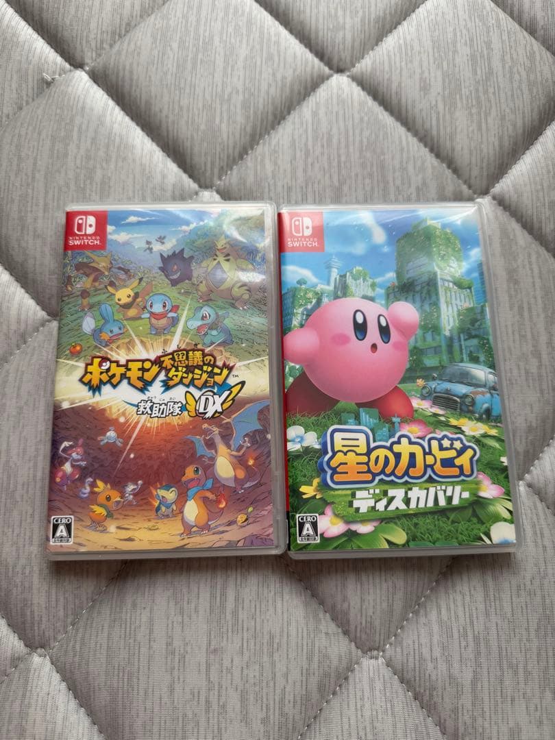 美品Nintendo Switch Lite グレー + ケース+カセット