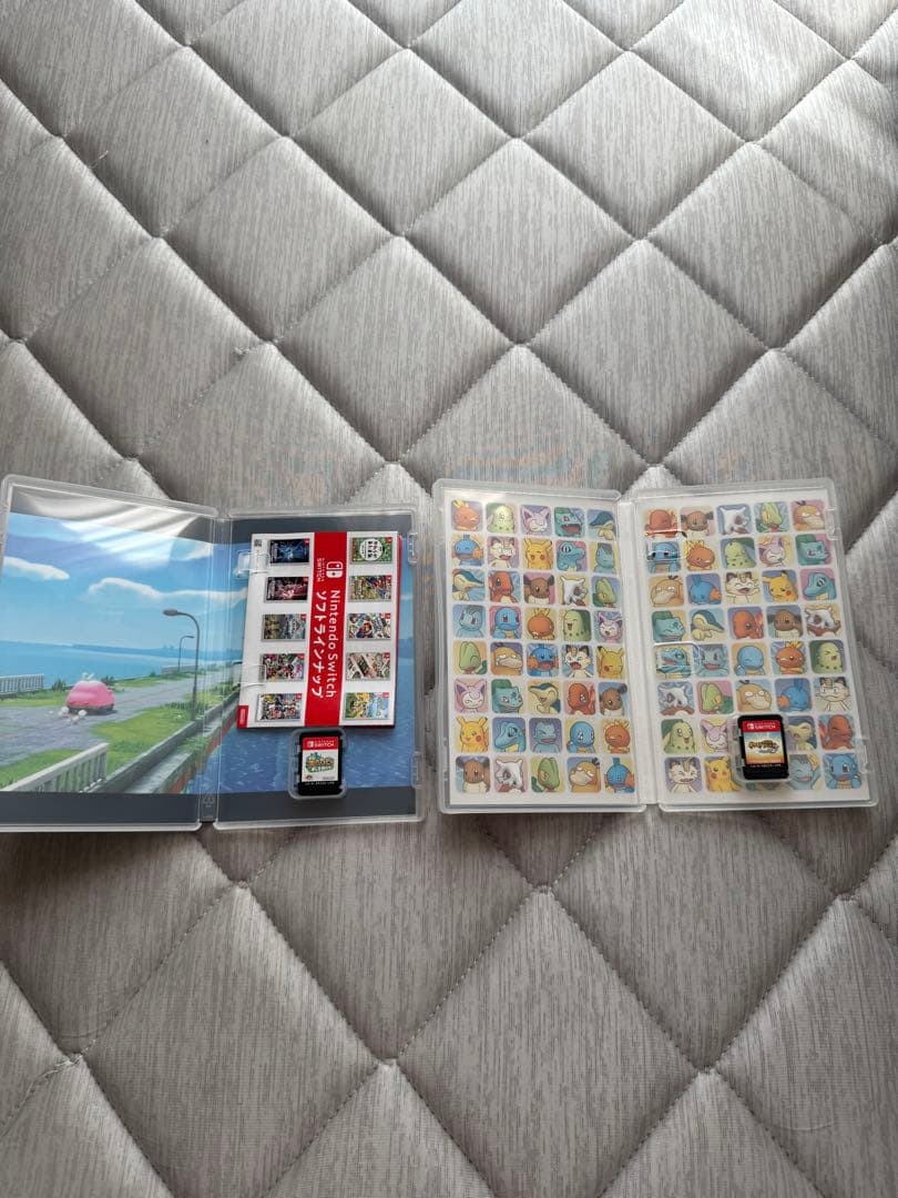 美品Nintendo Switch Lite グレー + ケース+カセット