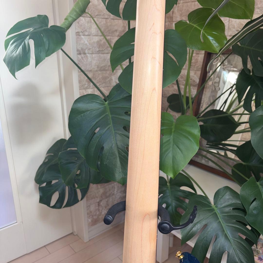 ❤️AriaProII RSB-42AR 5弦ベース 美品 チューナー ストラップ