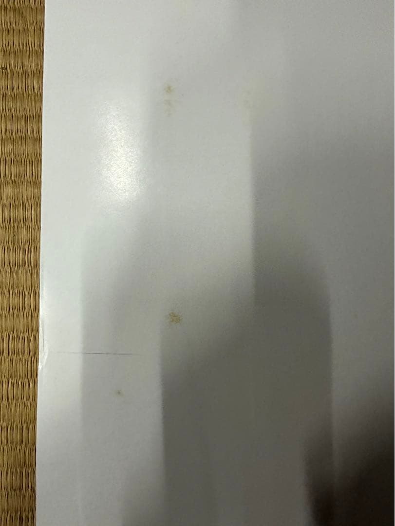 マ*コ様 【24】トトロ　ポスター　激レア　希少