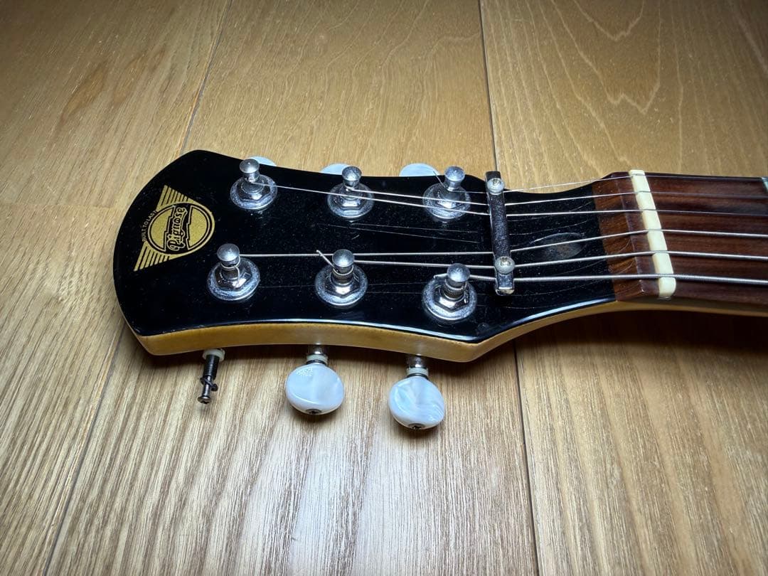 Pignose ピグノーズ 楽器 アンプ内蔵ミニギター