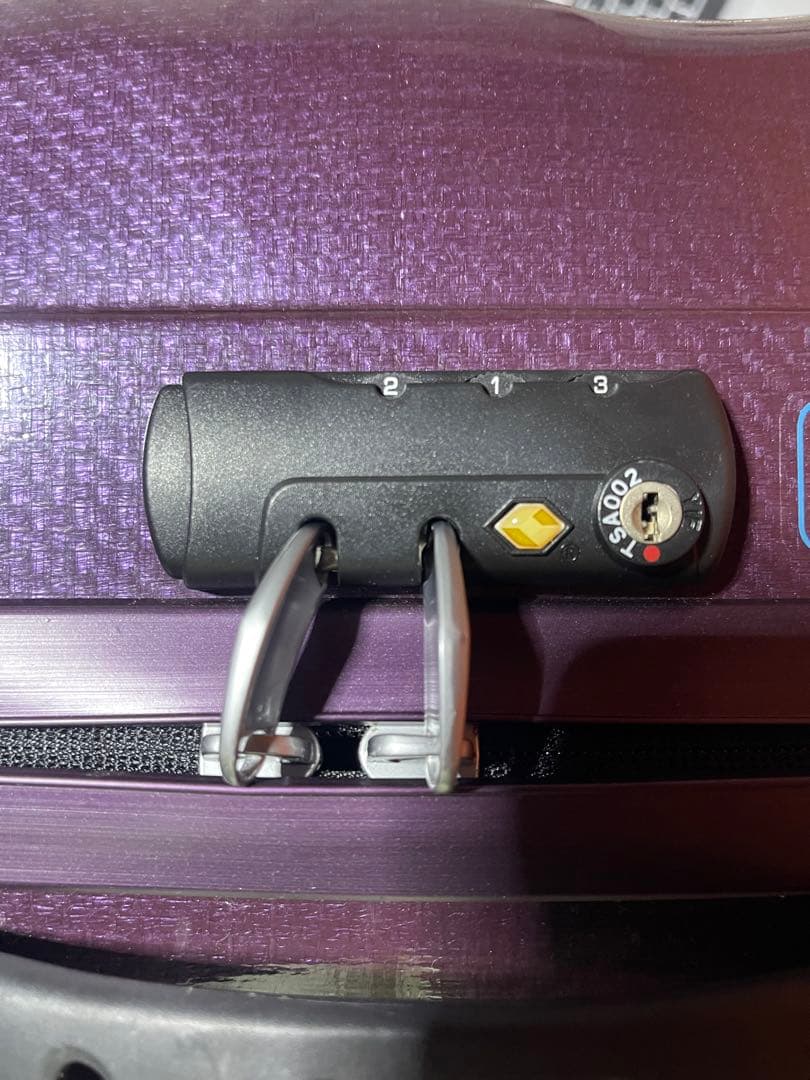 サムソナイト コスモライト トラベルバッグ/ハンドバッグ