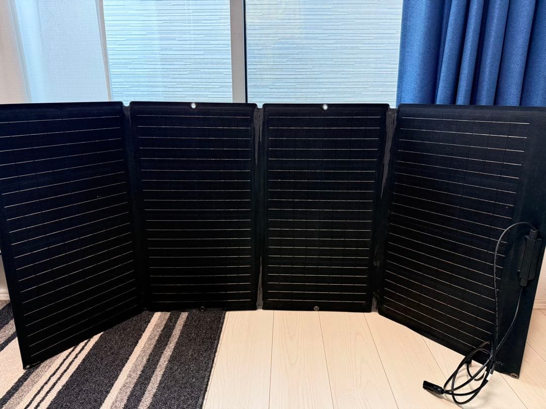 新品 EcoFlow DELTA 2 / 中古ソーラーパネル付き　セット