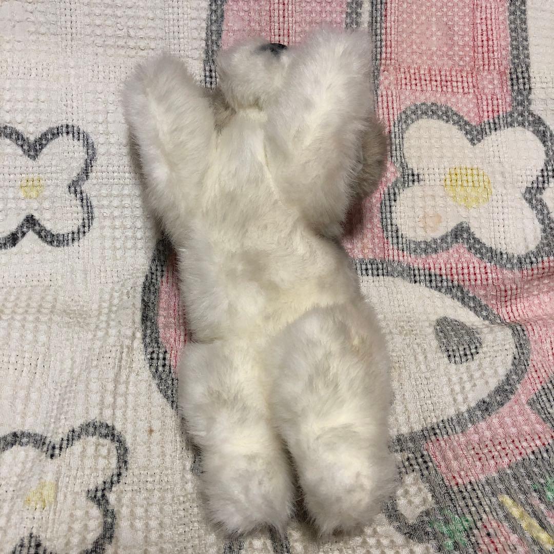 四季オリジナル　ぬいぐるみ　シーズー　犬　中古品　寝そべりポーズ