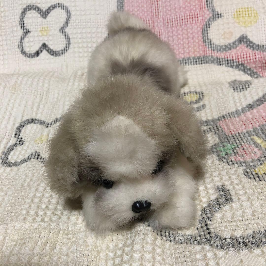 四季オリジナル　ぬいぐるみ　シーズー　犬　中古品　寝そべりポーズ