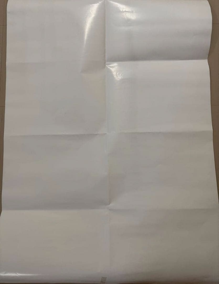 貴重★ ディズニーシー　実写　ポスター　販促用　非売品　大　B1 宣伝