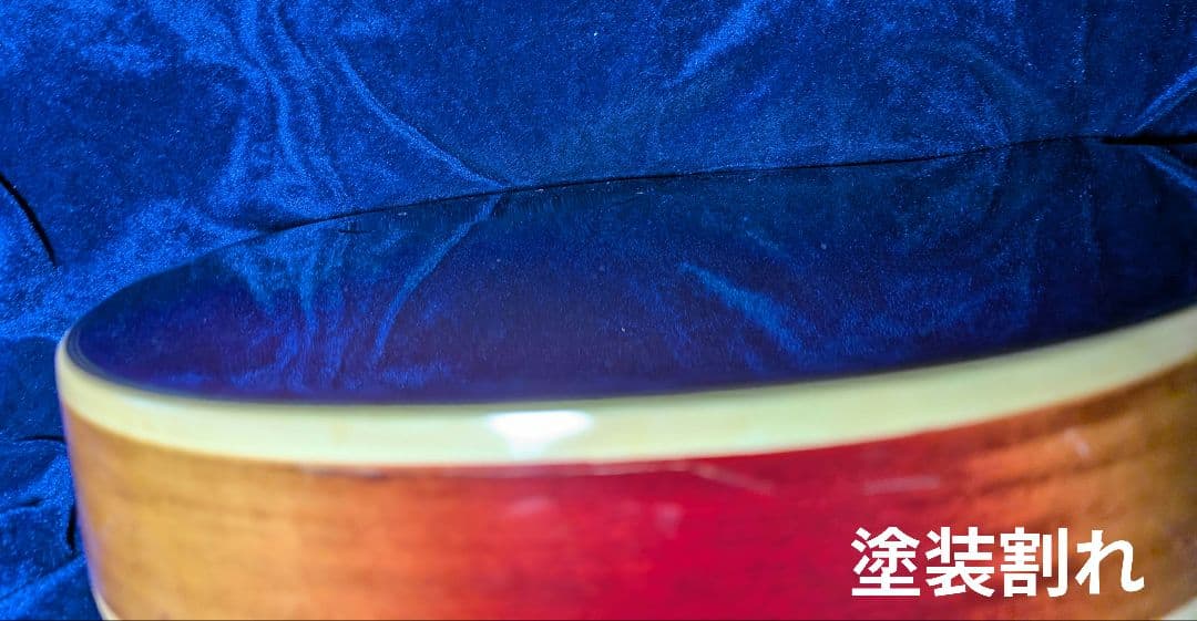 【Fresher】レスポールタイプ 3ピックアップ