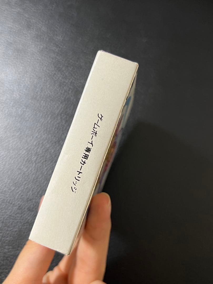 希少　バトルオブキングダム　箱あり　ゲームボーイ