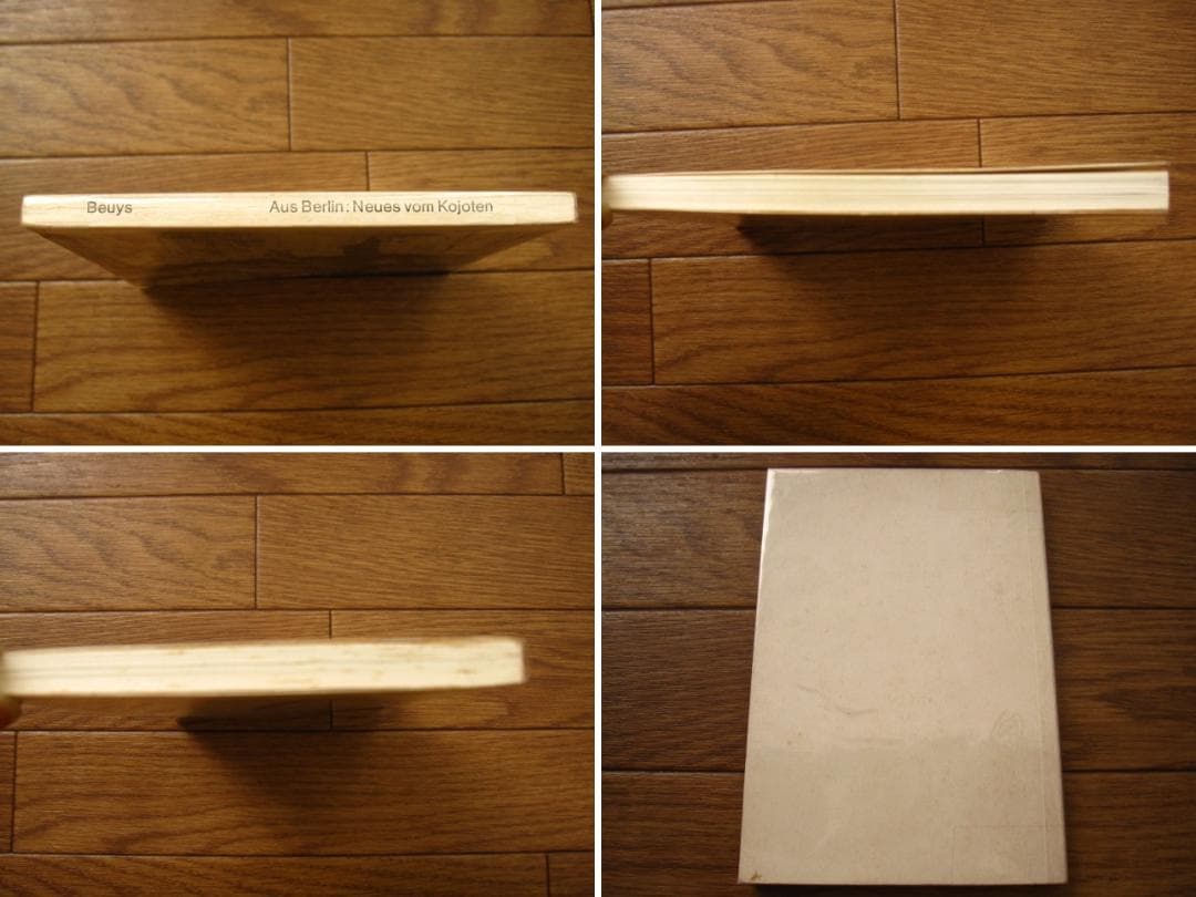 Aus Berlin neues vom kojoten　ヨーゼフ・ボイス