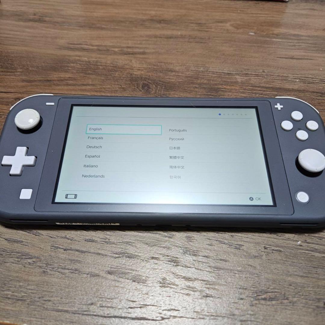 任天堂Switch Lite本体+マインクラフトソフト+SDカード+ケース付き