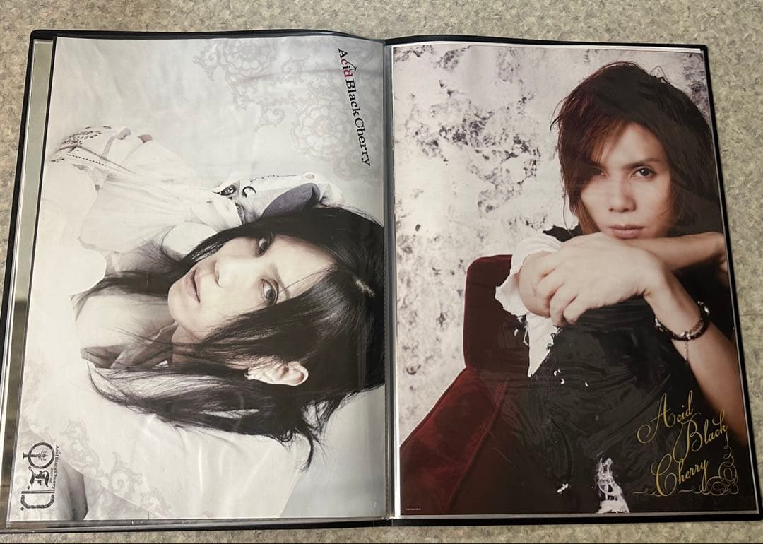 Acid Black Cherry ポスター　35種セット