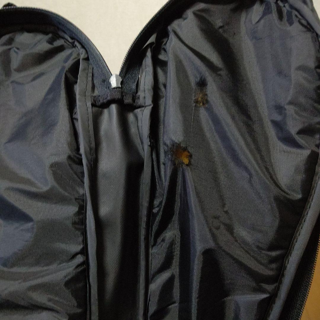 Fernandes L'Arc～en～Ciel Kenモデル