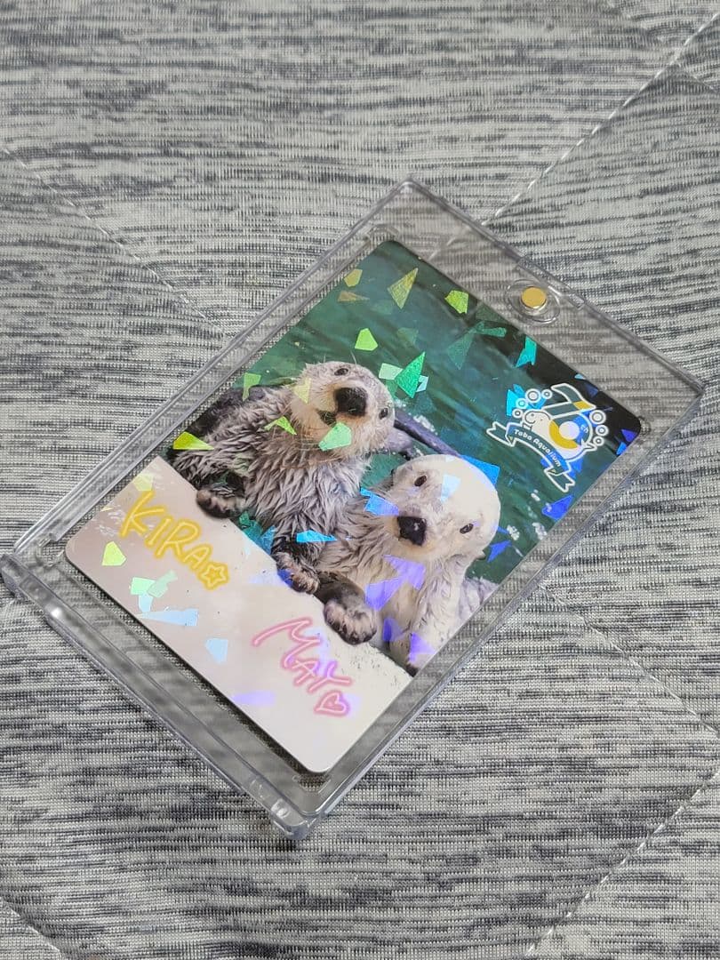 キラちゃん メイちゃん 鳥羽水族館70周年記念コレクションカード