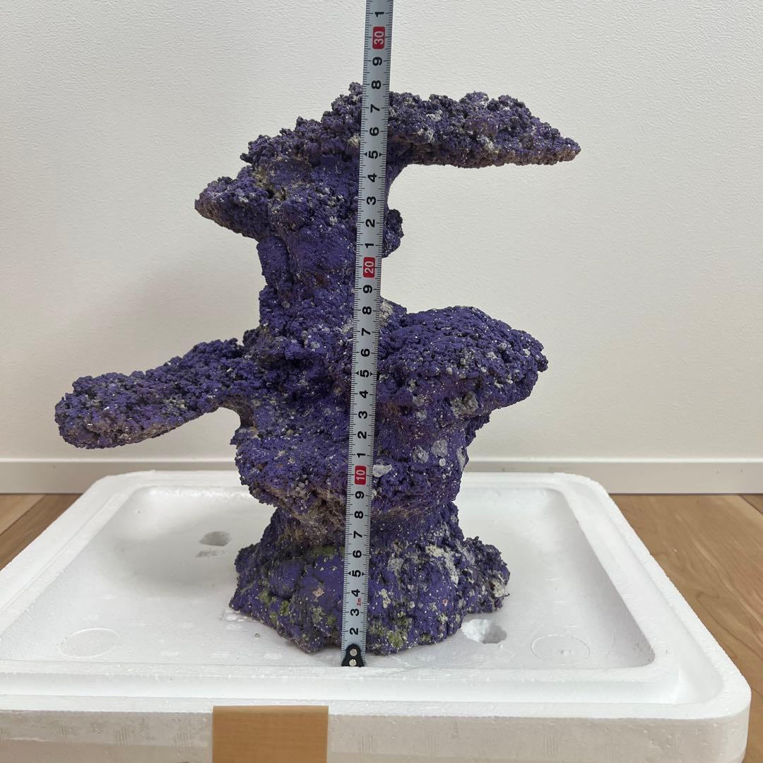 人口ライブロック 偽岩 レプリカライブロック サンゴ 人口 海水 水槽 ②