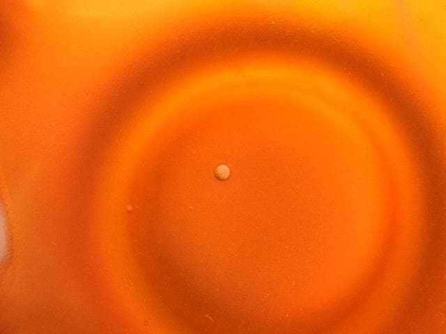 ガレ―？　茶碗　トンボ図　M560