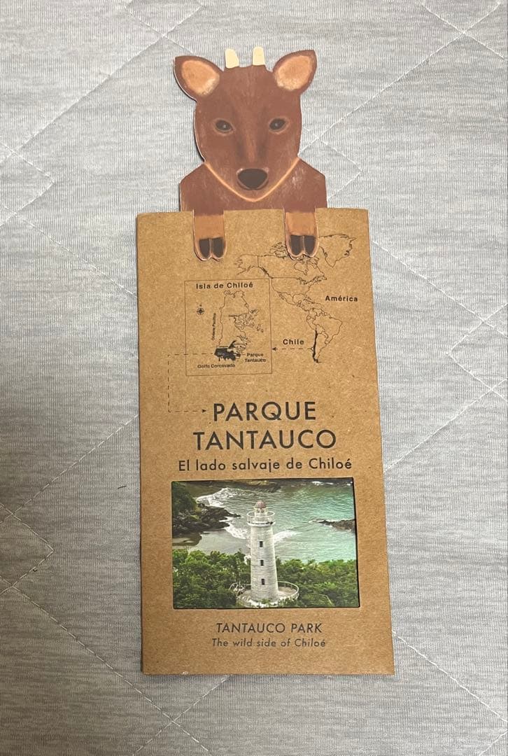 大阪関西万博　チリ　ノベルティセット　トートバッグ　ナップサック　ノート　ペン等