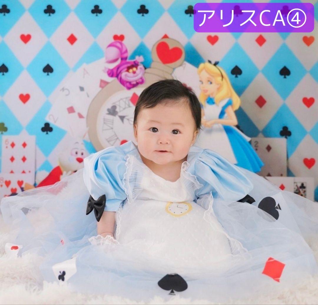 背景布【秋XB】サンプル　ペット撮影用ブース　パンパスグラス　ドライフラワー