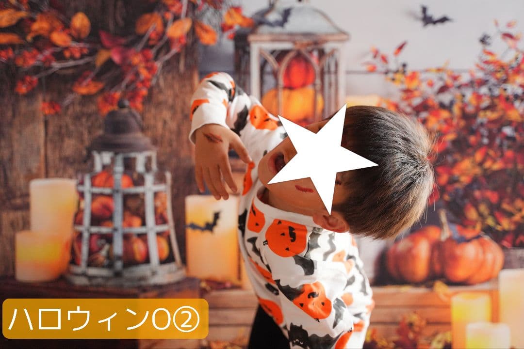 背景布【秋XB】サンプル　ペット撮影用ブース　パンパスグラス　ドライフラワー