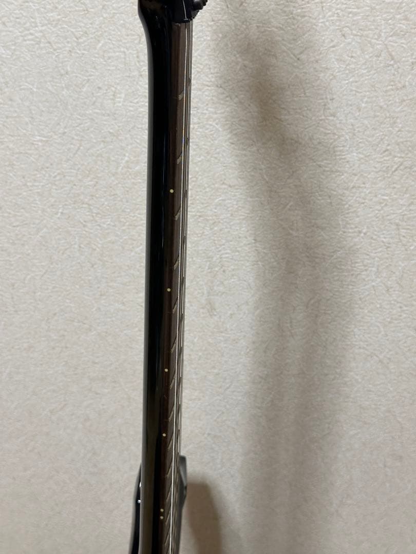 EDWARDS / E-K-GA/TM DIR EN GREY 薫モデル