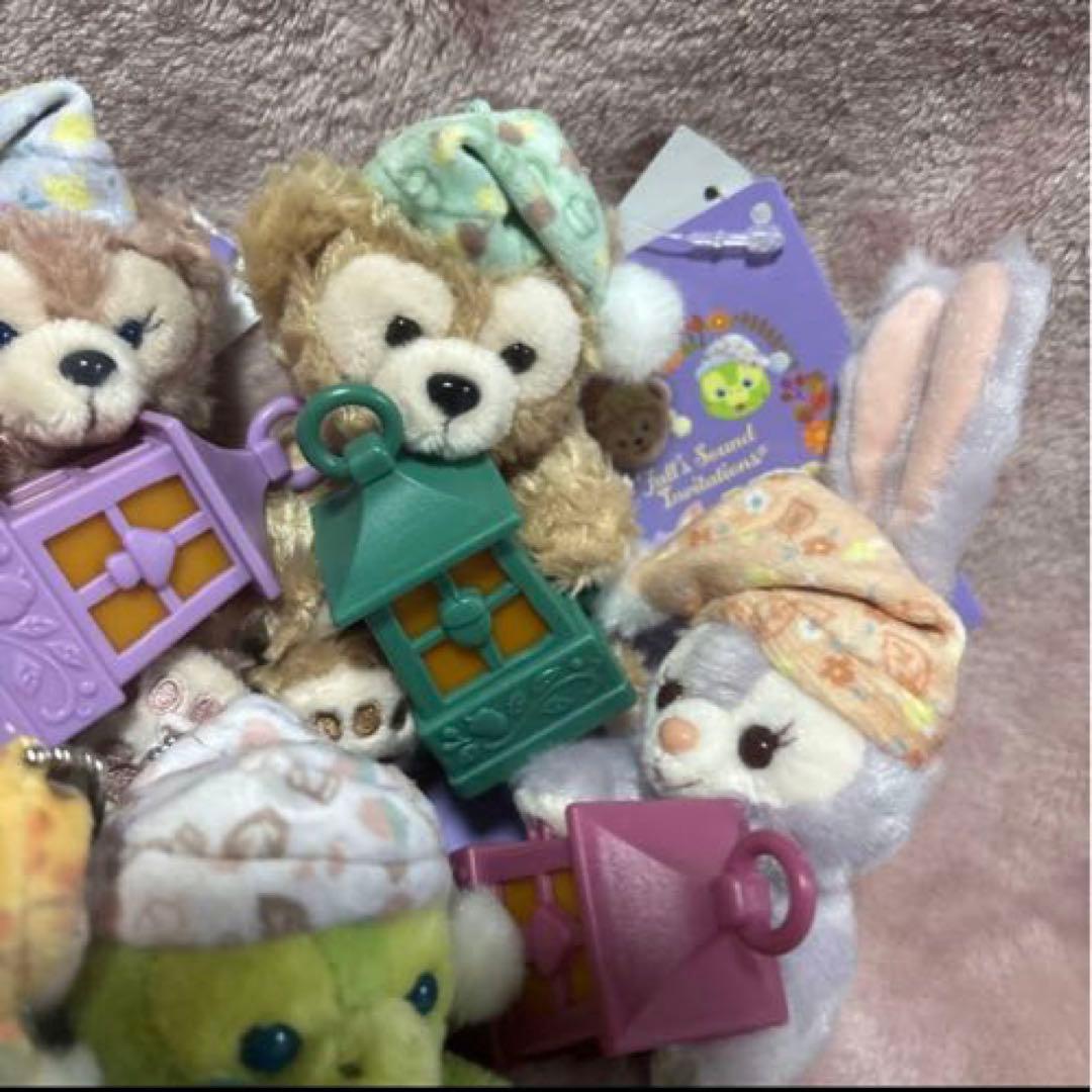 と*ぺ様 ♥️ディズニーシー♪ダッフィー＆フレンズ 光るランタン ぬいぐるみチェ