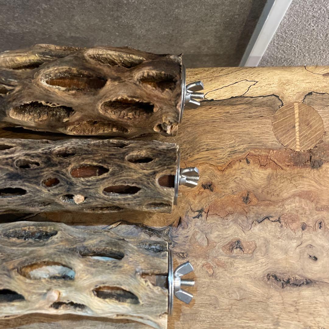 【まるさん専用】オーダーメイドカクタスパーチ相談ページ