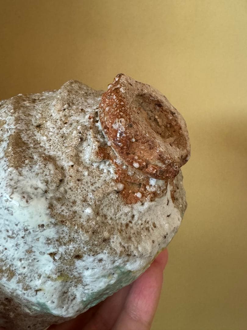 Simon manoha 茶碗　フランス人作家