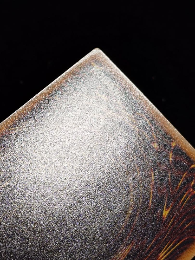 ブラック・ローズ・ドラゴン ホロ