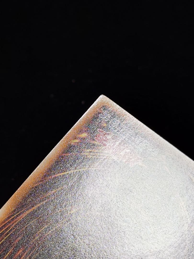 ブラック・ローズ・ドラゴン ホロ