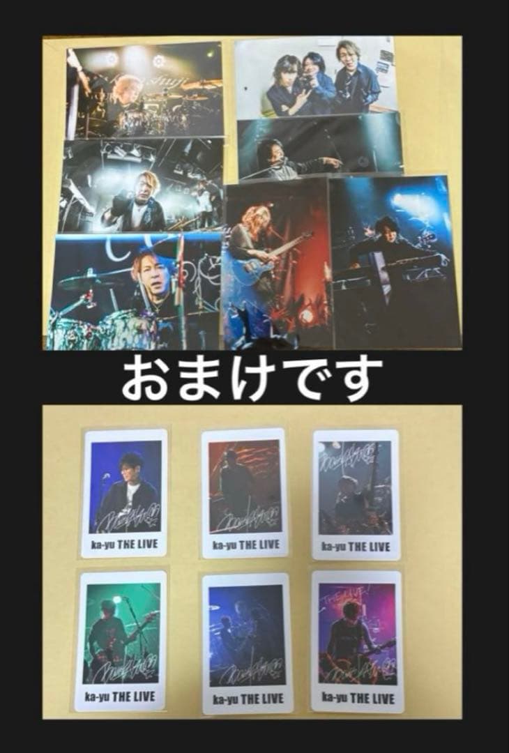 Janne Da Arc 関連DVD まとめ売り 18点 DAMIJAW 教則他