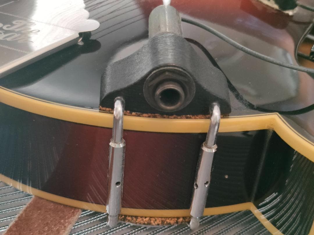 The Loar フラットマンドリン