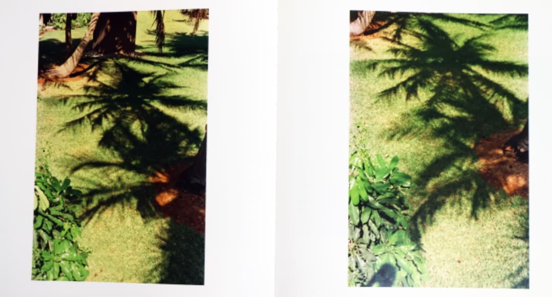 William Eggleston（The Democratic Forest）