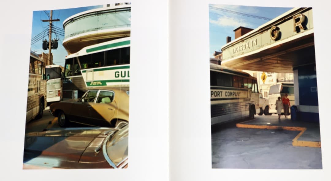 William Eggleston（The Democratic Forest）