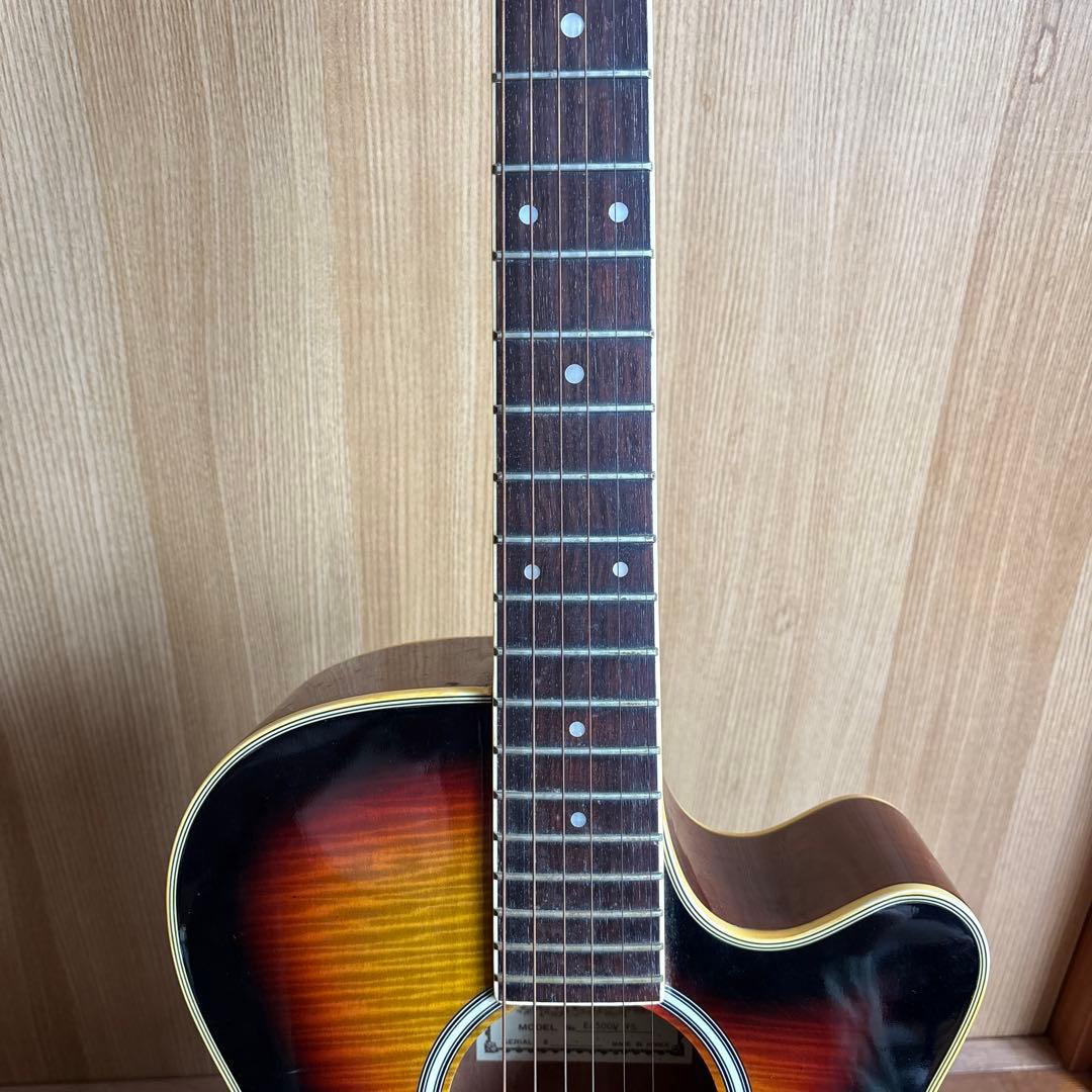 エレクトリック・アコースティックギター　Pro Martin EA500W VS