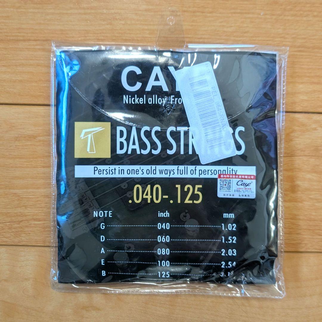 G&L L-2500 tribute Blue Burst 5弦エレキベース