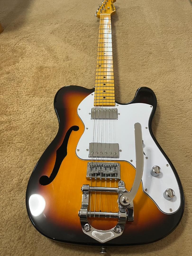 （ダイナマン）ドナー シンライン ホロウボディ bigsbyタイプ