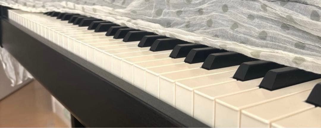 はりす(2/3まで)