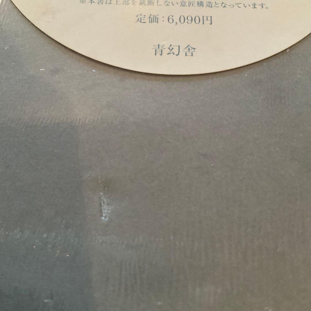 シュリンク破れなし未開封　川内倫子 / あめつち 完全版