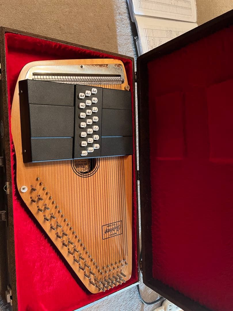 オートハープ 本体 ケース付き